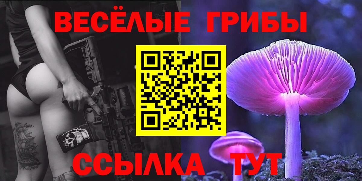 купить наркотик  Галлюциногенные грибы Psilocybe  Вход с VPN  Галлюциногенные грибы Psilocybe  Междуреченск 