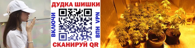 ОМГ ОМГ маркетплейс Междуреченск Бошки марихуана тримм закладки